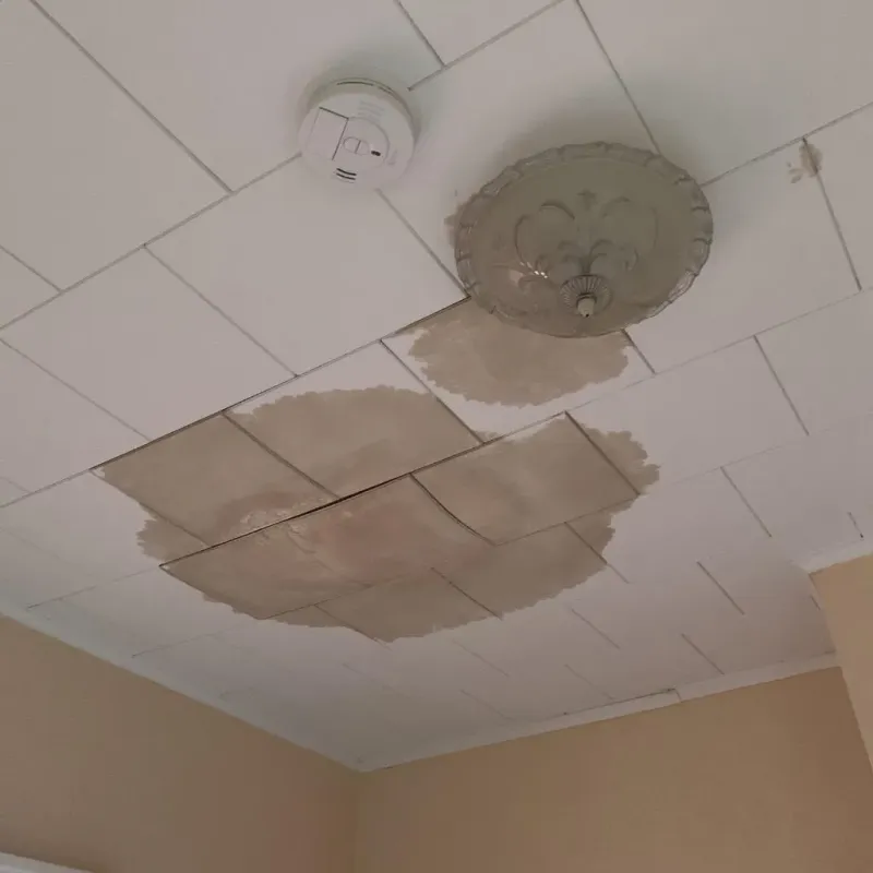 Ceiling Water Damage Repair in Rosa Sanchez, PR