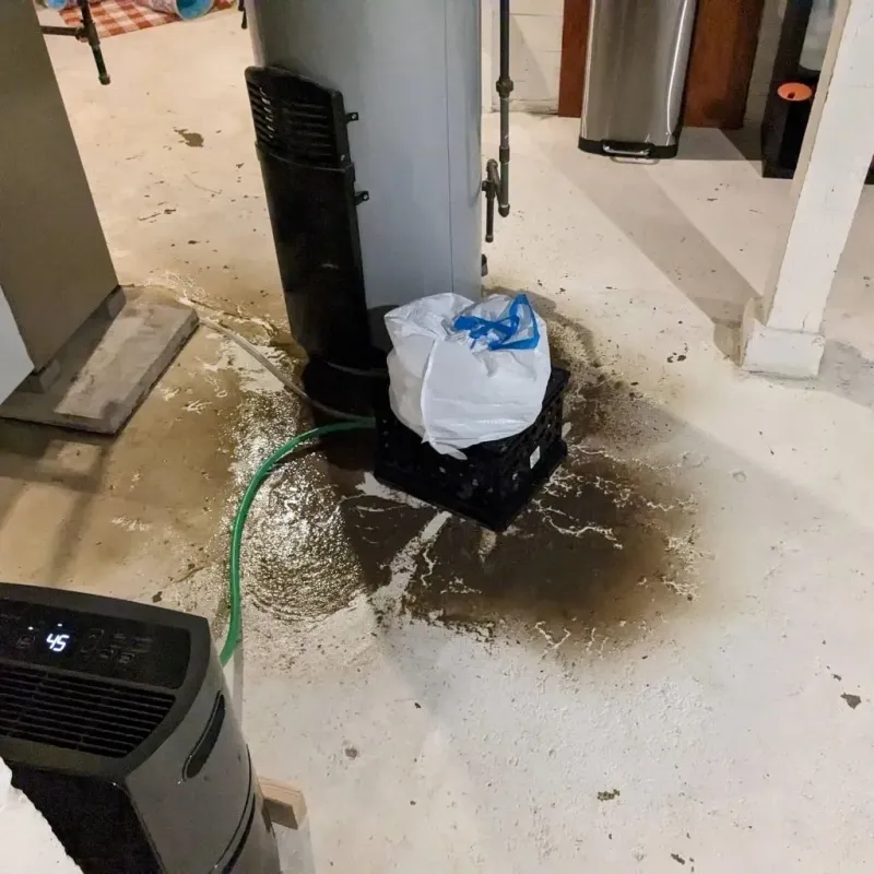 Sewage Backup Cleanup Service in Rosa Sanchez, PR